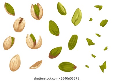 Set of pistachios. Vector hand drawn illustration of whole nuts, opened and crushed kernels. Isolated on white elements for food product visual, healthy snack branding, packaging, promo graphics, menu