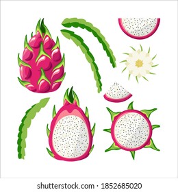 Set of pitaya vectors. Dragon Fruit whole, halves, leaves, flower isolated on white background. Juicy, bright tropical fruits. Cartoon style. 