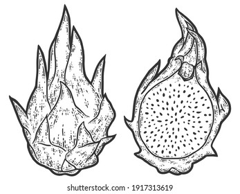 Set pitaya. Whole and cut fruit. Sketch scratch board imitation.