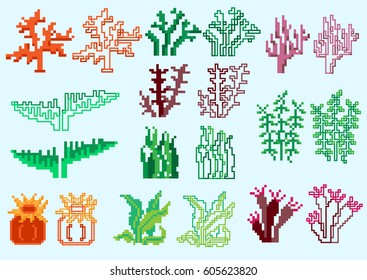 Set of pixel algae for games and mobile applications