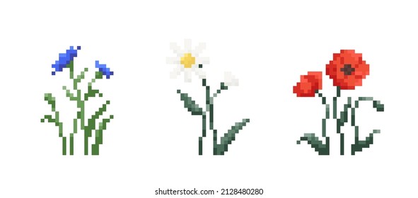 Set of Pixel art flowers. Vintage 90s gaming 8 bit icon of red poppy, chamomile and knapweed flowers. Vector pixel filed and wild flowers for game and print