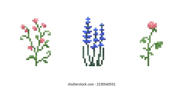 Set of Pixel art flowers. Vintage 90s gaming 8 bit icon of pink sweet pea and clover and blue lavender flowers. Vector pixel filed and wild flowers for game and print	