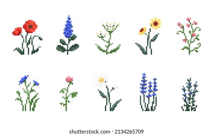 Set of Pixel art flowers. Vintage 90s gaming 8 bit icon of poppy, lavender, chamomile, clover, echinacea, rosemary, yarrow, knapweed, flowers. Vector pixel filed and wild flowers for game and print	