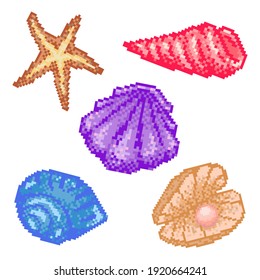 Set of pixel art sea shells. 8 bit starfish, pearl, clam, horn snail and moon snail. Retro gaming shells, sea star and pearl. Vector red, purple, yellow and blue pixel shells on white background.