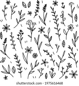 Set of pland doodles. Hand drawn vector flowers. Botanical illustration.