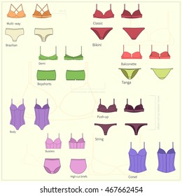 Set of plane simple women's underwear in front and back views. Bright Vector illustration.