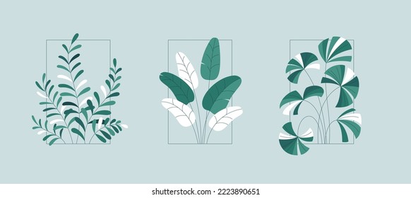 Set of plant branches in flat style with frame and outline. Green ficus, zamioculcas vector template for home interior design, coziness. Line art. Isolated botanical illustration with leaves, bush.