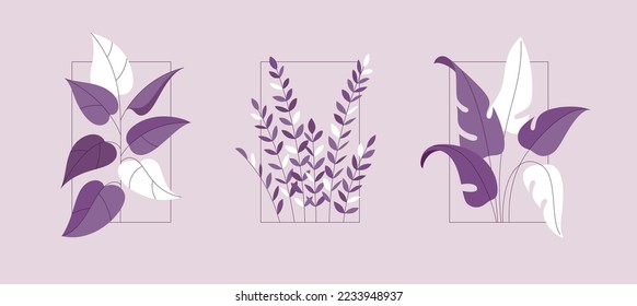 Set of plant branches in flat style with frame. Line art with outline. Monochrome vector template of green bush for home interior design, coziness. Isolated botanical illustration with leaves.
