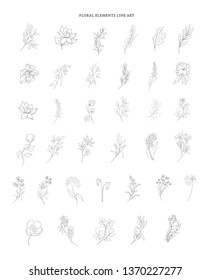 Set of plant branches. Greenery design elements. Botanical hand drawn logos.