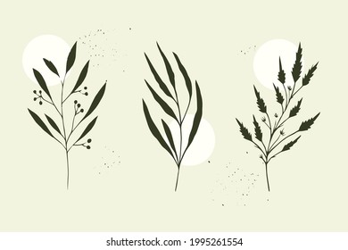 Conjunto de ramas vegetales. Minimalismo. Ilustración vectorial.