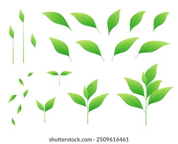 Un conjunto de crecimiento de brotes de plantas y partes de hojas