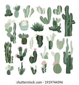 Cactus Images, Stock Photos & Vectors | Shutterstock