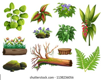 A set of plant element illustration