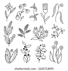 A set of plant elements in the doodle style