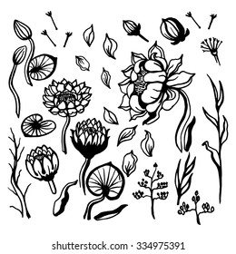 Set of plant elements drawn from nature. Doodles flowers,branches, bud, petals, leaves. Hand drawn.
