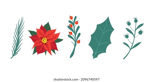 Conjunto de elementos vegetales y flores. Aislado sobre fondo blanco.