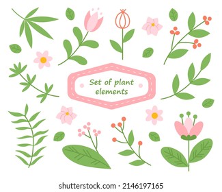 Conjunto de elementos vegetales - flores silvestres, hierbas, hojas. Colección de jardín, flores, ramas. Ilustración aislada en un fondo blanco. Vector 
