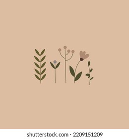 set of plant flowers for postcard or background