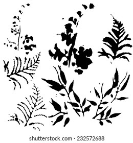 Set of plant and foliage elements silhouette vector illustration