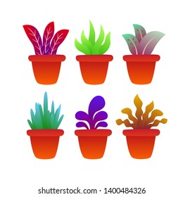 Set of plant growing on pot illustration