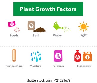 Set of Plant growth factor icons in colorful style
