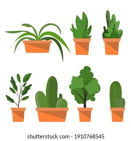 Set plant hand drawing isolated on white background  , Illustration Vector EPS 10 
