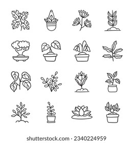 Set of plant hand drawn vector