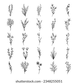 Set of plant hand drawn vector 
