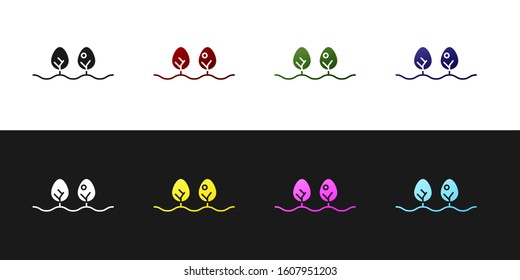 Set Plant icon isolated on black and white background.  Vector Illustration