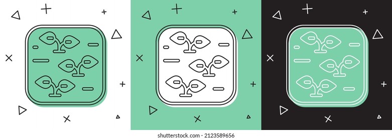 Set Plant icon isolated on white and green, black background. Seed and seedling. Leaves sign. Leaf nature.  Vector