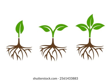 set of plant icon logo design vector