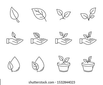 set of plant icons design, mint leaf, growing plant icons, leaf on hand, nature care, vector.