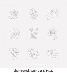 Set of plant icons line style symbols with aster, orchids, water lily and other icons for your web mobile app logo design.