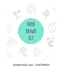 Set of plant icons line style symbols with carnation, dandelion, spruce icons for your web mobile app logo design.