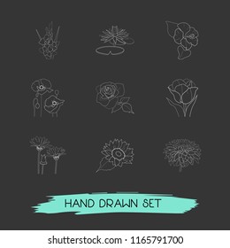 Set of plant icons line style symbols with sunflower, poppy, rose and other icons for your web mobile app logo design.