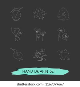 Set of plant icons line style symbols with poppy, poplar leaf, hibiscus and other icons for your web mobile app logo design.