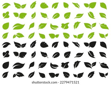 Conjunto de hojas de planta de estilo diferente en un diseño plano
