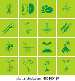 Set of plant or leaf icons. Vector illustration