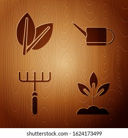 Set Plant, Leafs, Garden rake and Watering can on wooden background. Vector