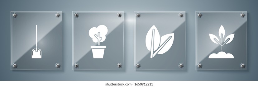 Colocar planta, hojas, árboles en olla y palas. Paneles de vidrio cuadrado. Vector