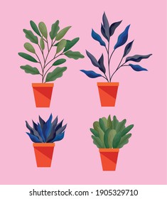set of plant with leaves in a pot vector illustration design
