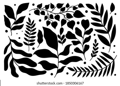 Set plant modern abstract. Floral nature fancy collection.Hand drawing form leave and texture.Vector illustration.