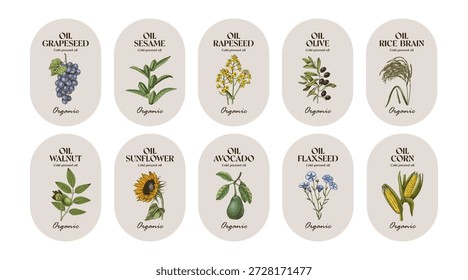 Set of plant oil labels vector
