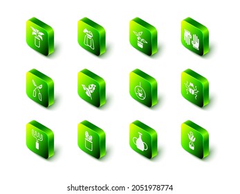 Set Plant on stand, in pot, Rubber gloves, Beetle bug, Flower glass bottle, hanging, Vase and Cactus peyote icon. Vector