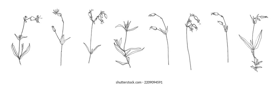 Reihe von Pflanzenlinien. Handgezeichnete Blumensammlung. Schwarze Blumen Skizze, Vektorgrafik auf weißem Hintergrund. Kräuterblütendekorative Druckelemente.