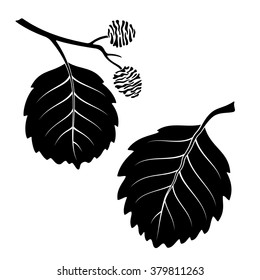 Set of Plant Pictograms, Alder Tree Leaves, Black on White. Vector