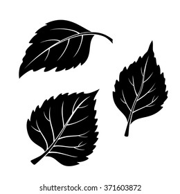 Set Of Plant Pictograms, Birch Tree Leaves, Black On White. Vector