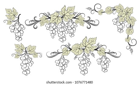 Set of Plant Pictograms, Grape Berries and Leaves, Black Contour on White Background. Vector