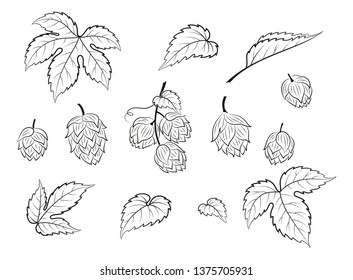 Set of Plant Pictograms, Hop Seeds and Leaves, Black Contour on White Background. Vector