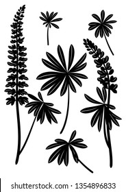 Set of Plant Pictograms, Lupine Leaves and Flowers, Black on White. Vector